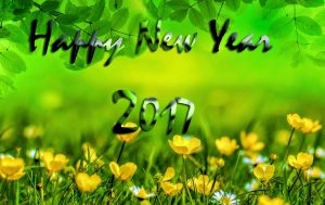 happy-new-year2017
