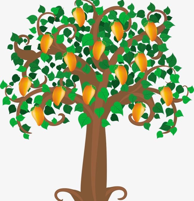 The Mango Tree