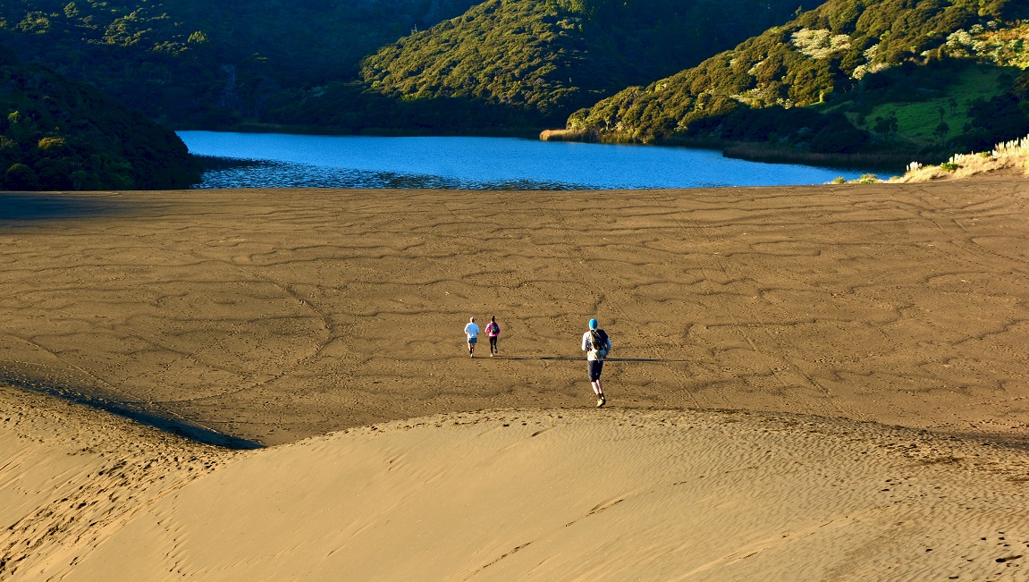 Bethells Beach