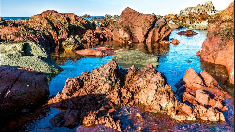 Red Rocks And Water
