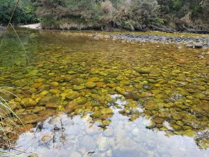 Clear river water