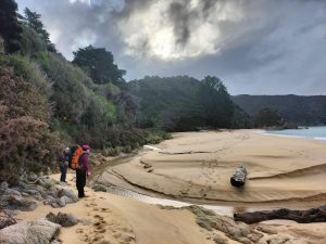 Cloudy beach